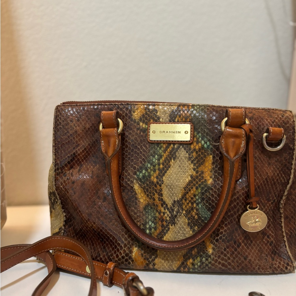 Brahmin Multicolor Snake Print Satchel